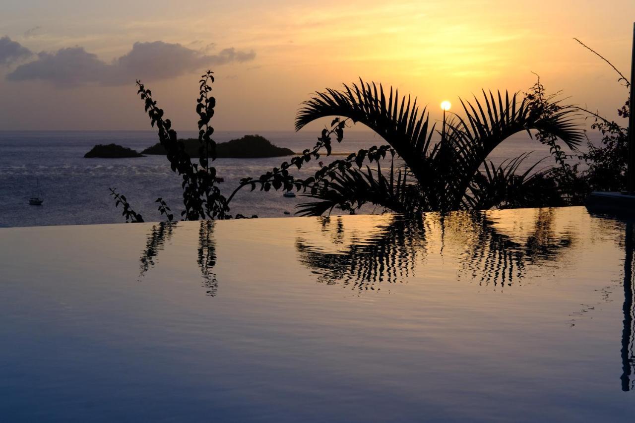 Sunset Palm - Superbe Créole Avec Piscine Face Au Coucher De Soleil Villa