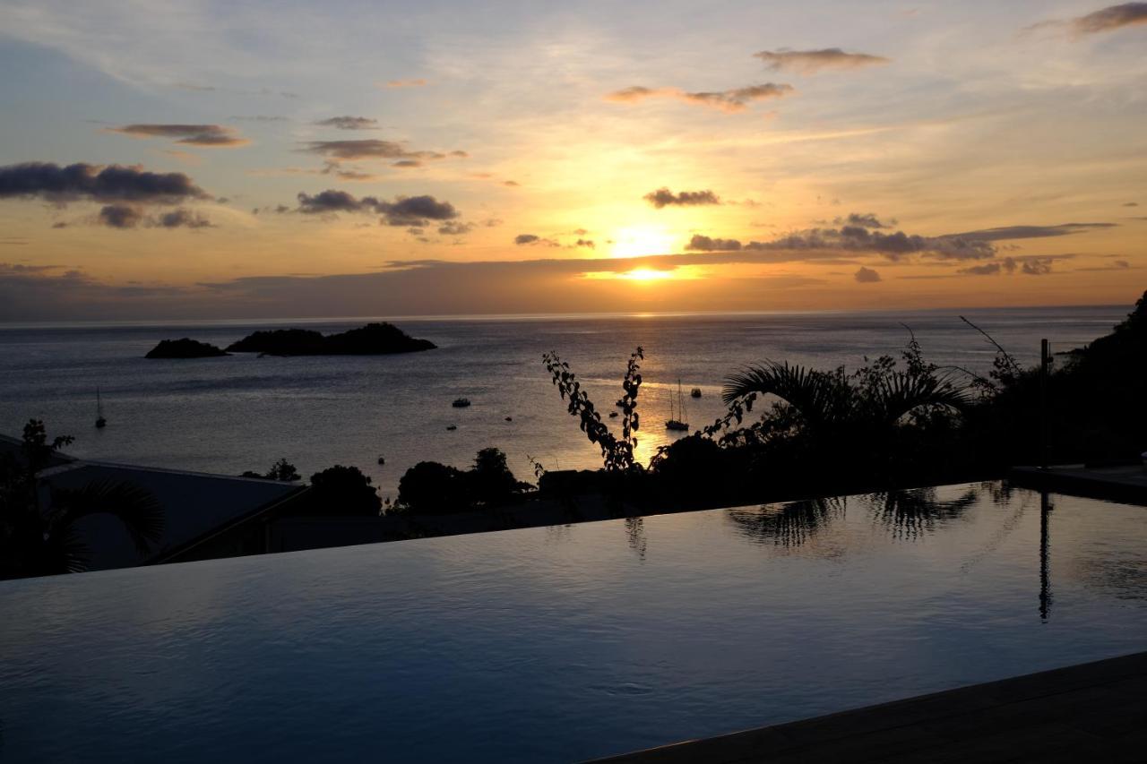 Sunset Palm - Superbe Créole Avec Piscine Face Au Coucher De Soleil *