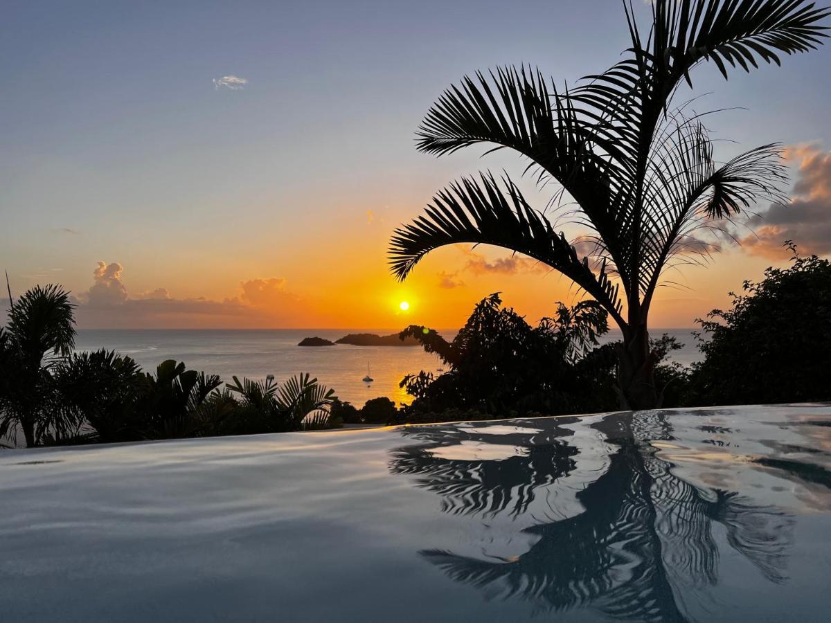 Sunset Palm - Superbe Créole Avec Piscine Face Au Coucher De Soleil Villa Bouillante